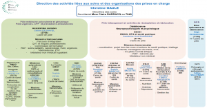 ORGANIGRAMME DIRECTION DES SOINS